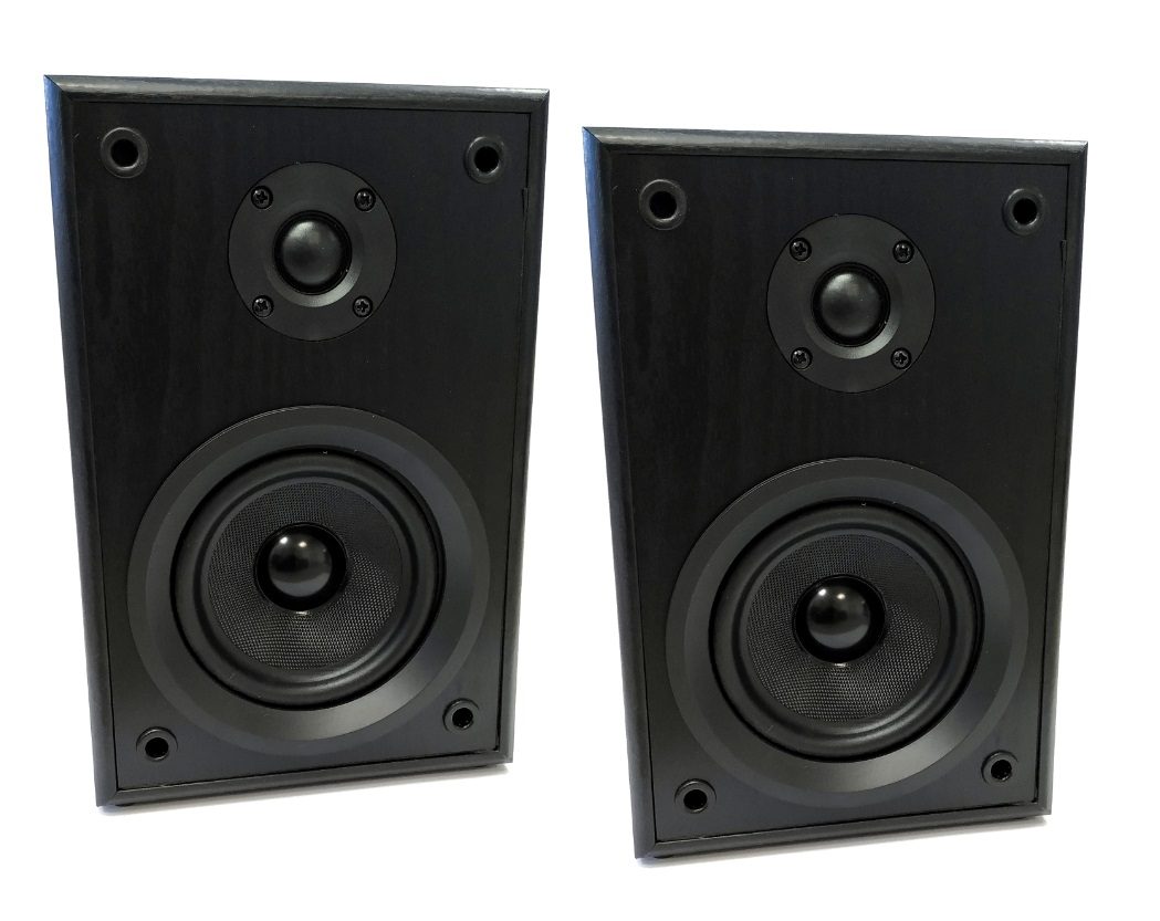 DUAL LS 100 Active Monitor