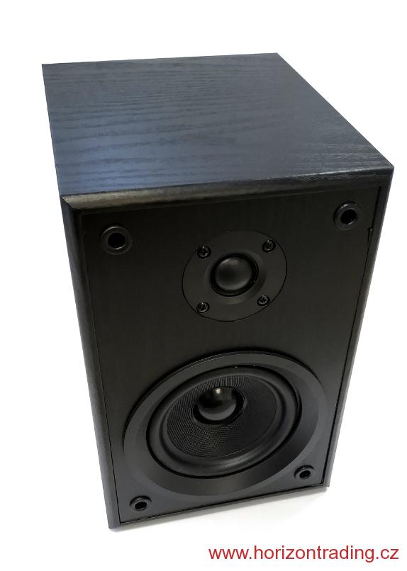 DUAL LS 100 Active Monitor