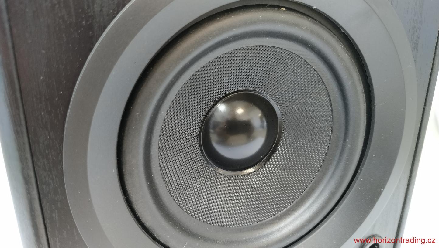 DUAL LS 100 Active Monitor